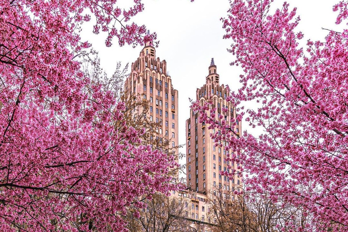 Central Park in Spring